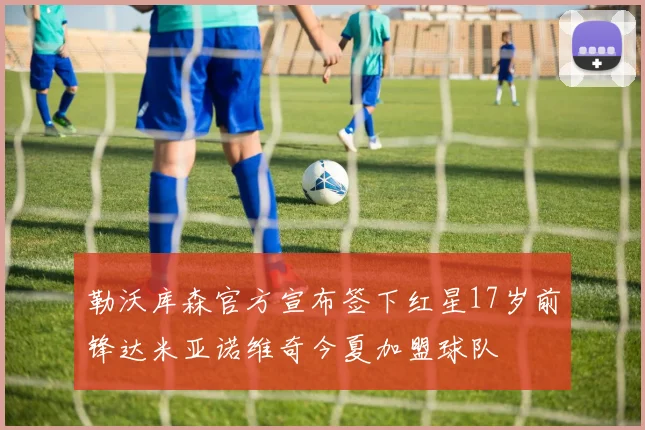 勒沃库森官方宣布签下红星17岁前锋达米亚诺维奇今夏加盟球队