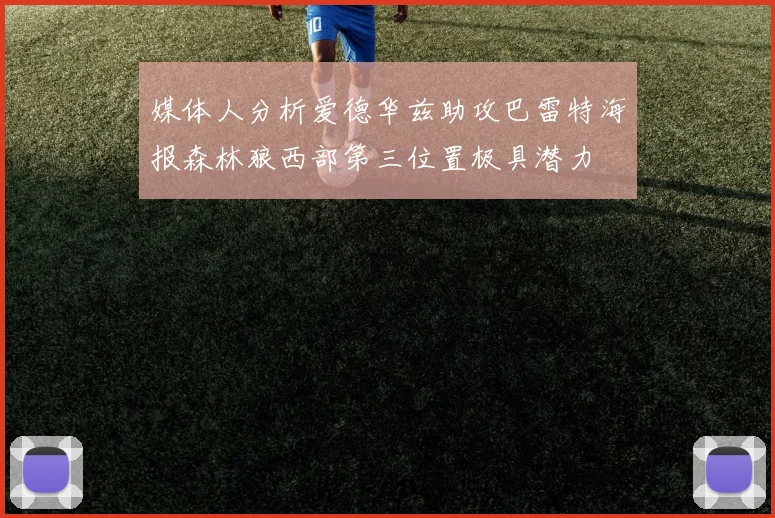 媒体人分析爱德华兹助攻巴雷特海报森林狼西部第三位置极具潜力