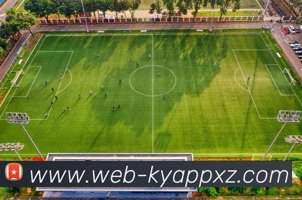 开云体育APP 高清赛事图