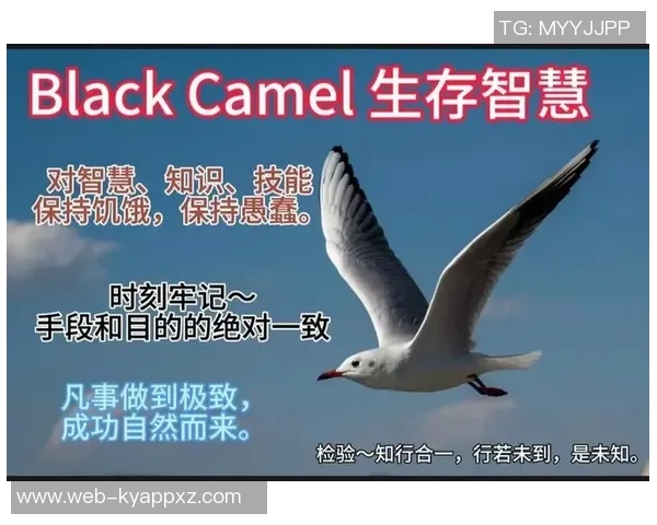 小卡的成长哲学:在强者的挑战中锻炼自我提升的智慧与勇气 小卡的成长哲学:在强者的挑战中锻炼自我提升的智慧与勇气